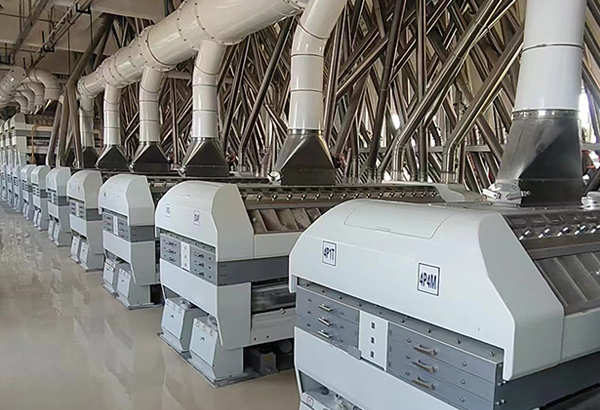 新疆奇臺天山面業